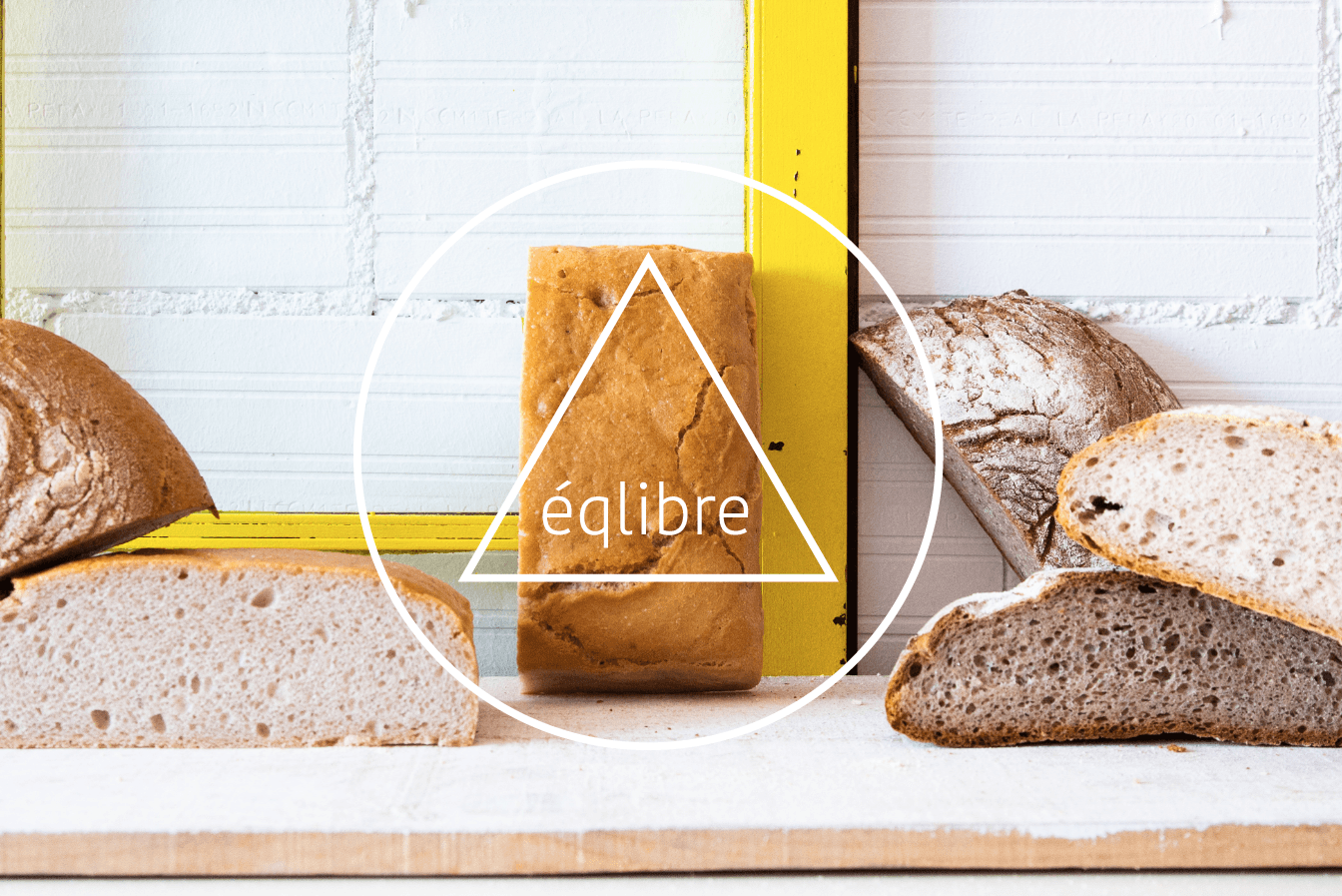 Lee más sobre el artículo Nueva web y shop online